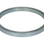 B06-1002 Pierścień ABS BTA