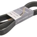 DAY10PK2495HD Pasek wielorowkowy DAYCO