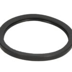 LE24808.00 Uszczelka termostatu LEMA