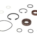 1.31954 Zestaw naprawczy pompy wspomagania DT SPARE PARTS