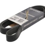 DAY8PK1815HD Pasek wielorowkowy DAYCO