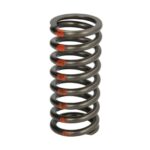 2479908-IPD Sprężyna zaworu IPD PARTS