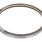 CO12019601B Uszczelniacz piasty CORTECO