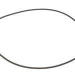 28579-CR SET 5 Uszczelniacz piasty CARRARO