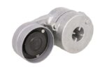 VKMCV 51031 Napinacz paska wielorowkowego SKF
