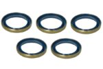 141836-CR SET 5 Uszczelniacz mostu tył CARRARO - obrazek 2