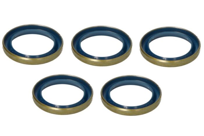 141836-cr set 5 uszczelniacz mostu tył carraro - obrazek 2