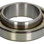 SLF.CNUB1011M1.P63.F1 Łożysko przemysłowe SLF