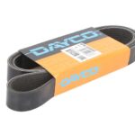 DAY8PK1555HD Pasek wielorowkowy DAYCO