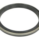 B06-2161 Uszczelniacz piasty BTA