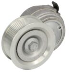 VKMCV 51017 Napinacz paska wielorowkowego SKF