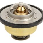 D2JD010TT Termostat cieczy chłodzącej THERMOTEC