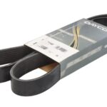 DAY8PK1331HD Pasek wielorowkowy DAYCO