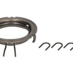 1.31355 Pierścień tarczy wyciskowej DT SPARE PARTS