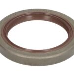 1.24267 Uszczelniacz skrzyni biegów DT SPARE PARTS