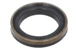 536485-CR Uszczelniacz mostu tył CARRARO