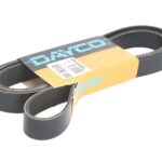 DAY8PK2605HD Pasek wielorowkowy DAYCO