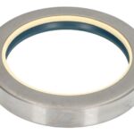 B06-2270 Uszczelniacz mostu tył BTA