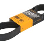 10 PK 1350 Pasek wielorowkowy CONTITECH