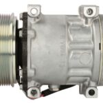 SD7H15-8244 Kompresor klimatyzacji SANDEN