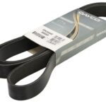 DAY8PK2095HD Pasek wielorowkowy DAYCO