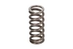 0632041095ZF Sprężyny, komplet ZF - obrazek 2