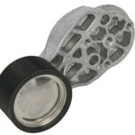 VKMCV 53010 Napinacz paska wielorowkowego SKF