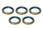 141836-CR SET 5 Uszczelniacz mostu tył CARRARO