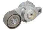 VKMCV 53003 Napinacz paska wielorowkowego SKF