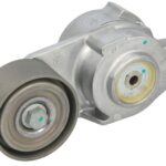 VKMCV 53003 Napinacz paska wielorowkowego SKF