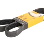 8 PK 1371 Pasek wielorowkowy CONTITECH