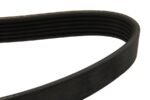 DAY6PK1065HD Pasek wielorowkowy DAYCO - obrazek 2