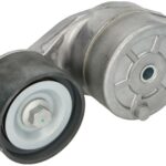 VKMCV 56021 Napinacz paska wielorowkowego SKF