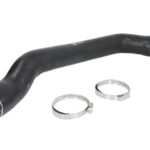 FE101238 Przewód gumowy układu chłodzenia FEBI BILSTEIN