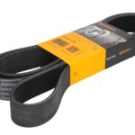 10 PK 2175 Pasek wielorowkowy CONTITECH