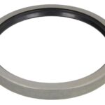 B06-2169 Uszczelniacz piasty BTA