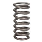 2.10276 Sprężyna zaworu DT SPARE PARTS