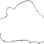 71-19542-00 Uszczelka pokrywy zaworów REINZ
