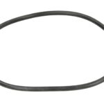 95534676 Oring skrzyni biegów EURORICAMBI