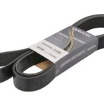 DAY10PK2480HD Pasek wielorowkowy DAYCO