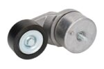 5.41448 Napinacz paska wielorowkowego DT SPARE PARTS