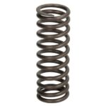 2418386-IPD Sprężyna zaworu IPD PARTS