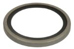 LE24805.47 Uszczelka termostatu LEMA