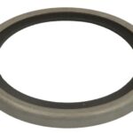 LE24805.47 Uszczelka termostatu LEMA