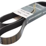 DAY8PK1480HD Pasek wielorowkowy DAYCO