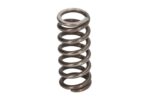 0632041095ZF Sprężyny, komplet ZF
