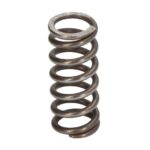 0632041095ZF Sprężyny, komplet ZF