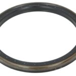 395982-CR Uszczelniacz piasty CARRARO