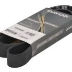 DAY8PK1565HD Pasek wielorowkowy DAYCO