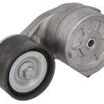 VKMCV 56013 Napinacz paska wielorowkowego SKF